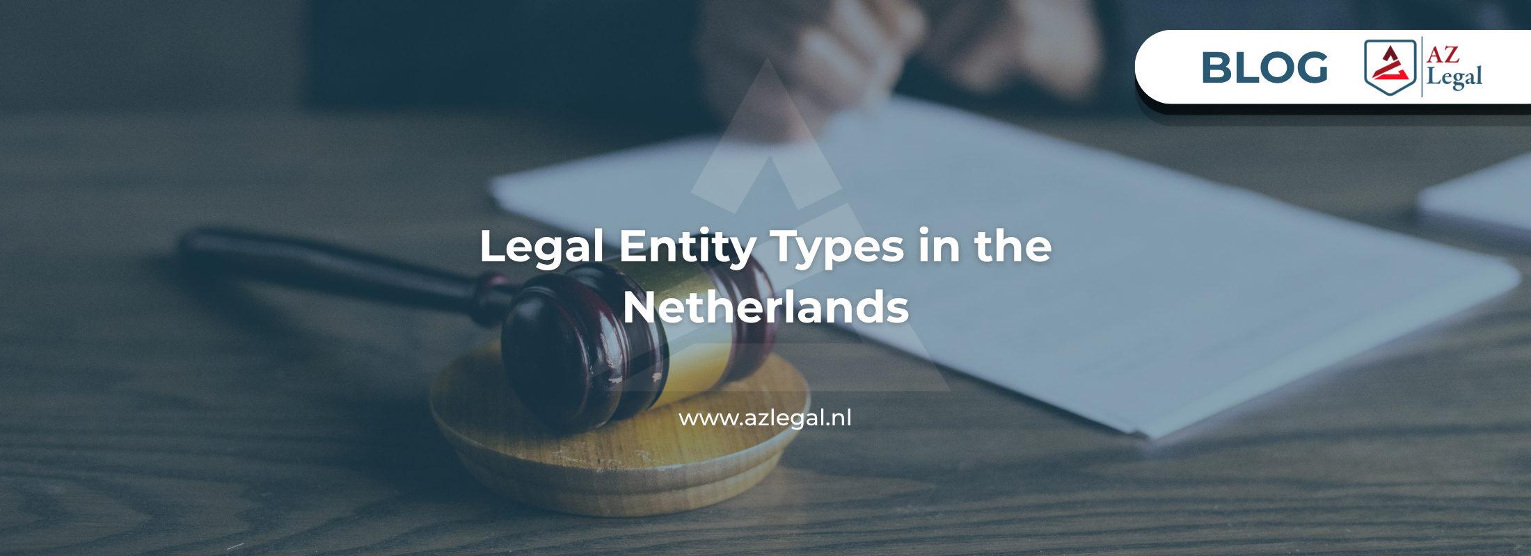 Legal Entity Types in The Netherlands